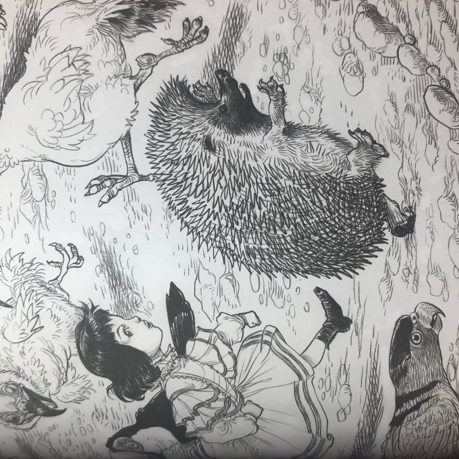 Alice's Adventures In Wonderland