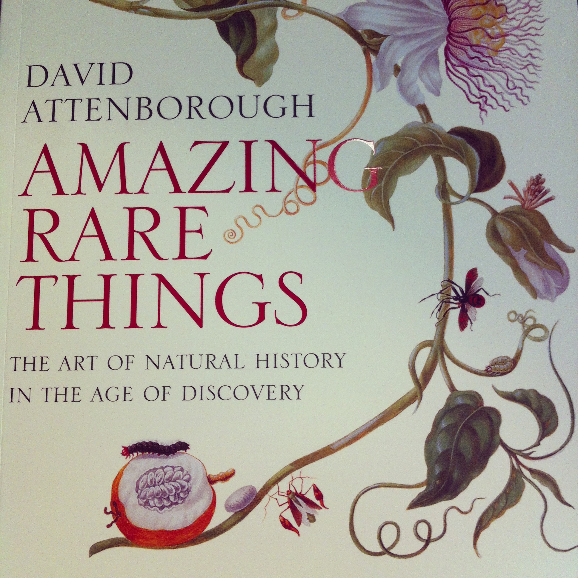 Amazing Rare Things The Art of Natural History in the Age of Discovery