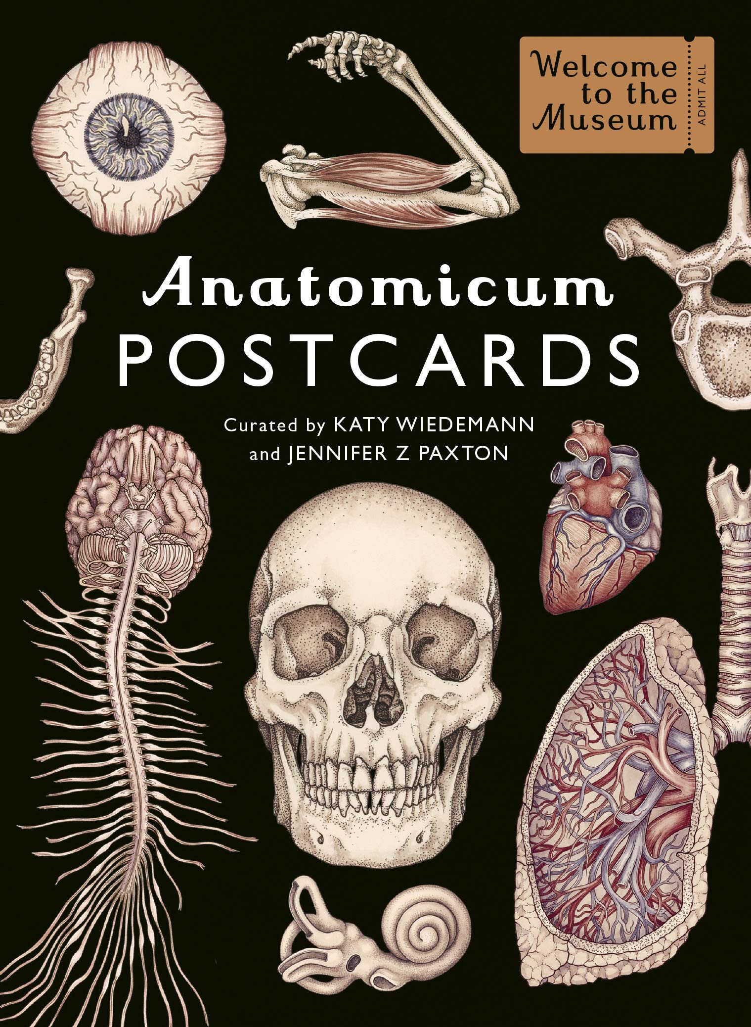 Anatomicum Postcard Box Welcome To The Museum גלויות