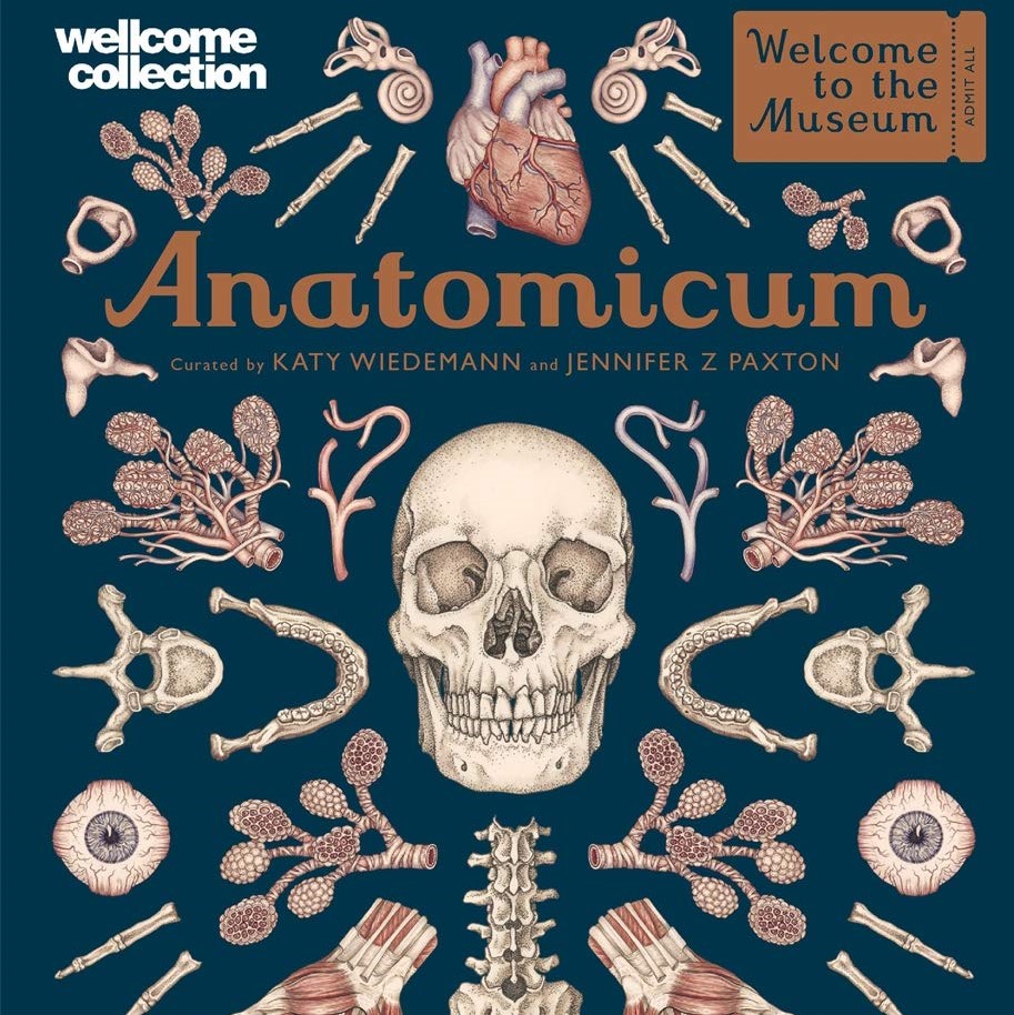 Anatomicum: Welcome to the Museum