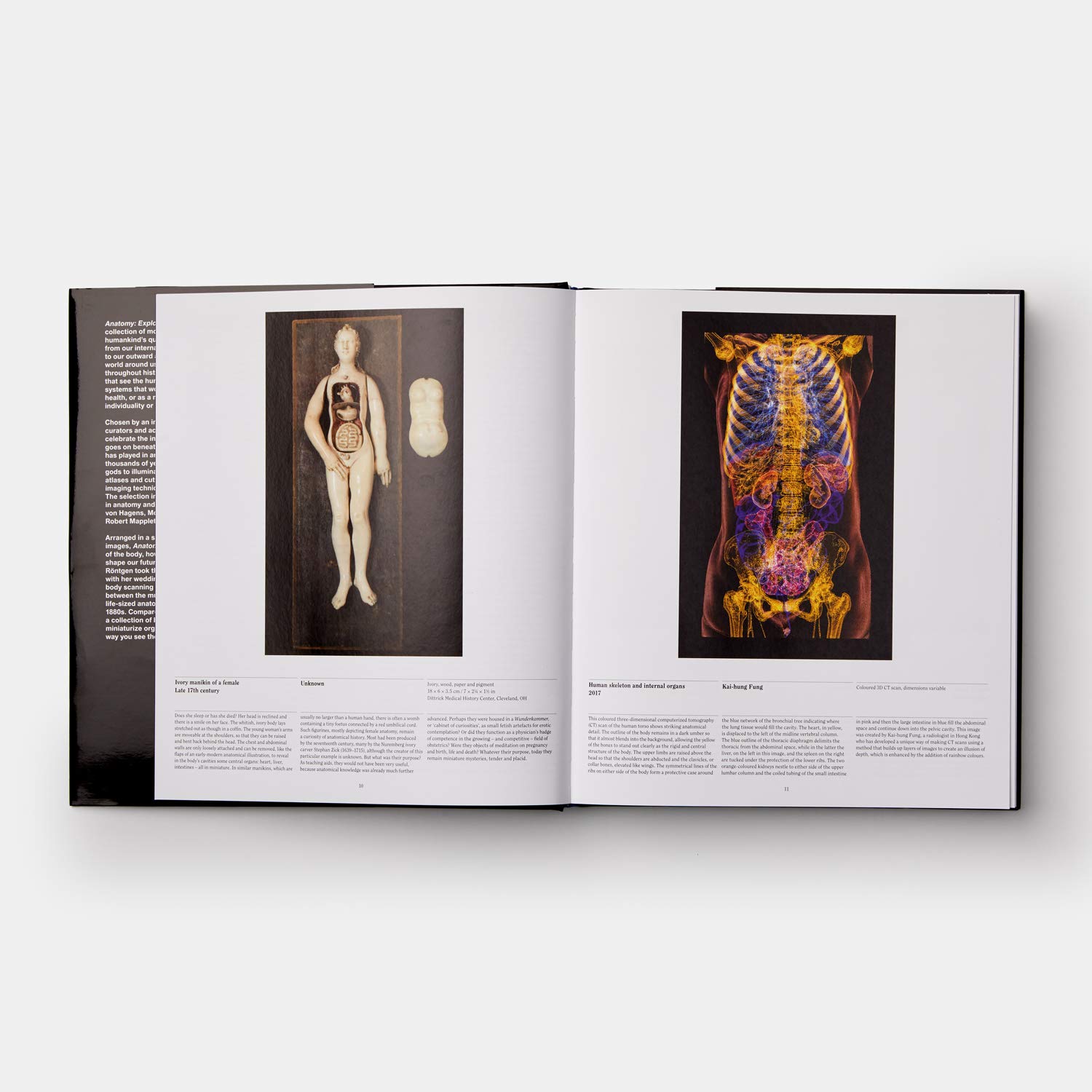 Anatomy: Exploring the Human Body