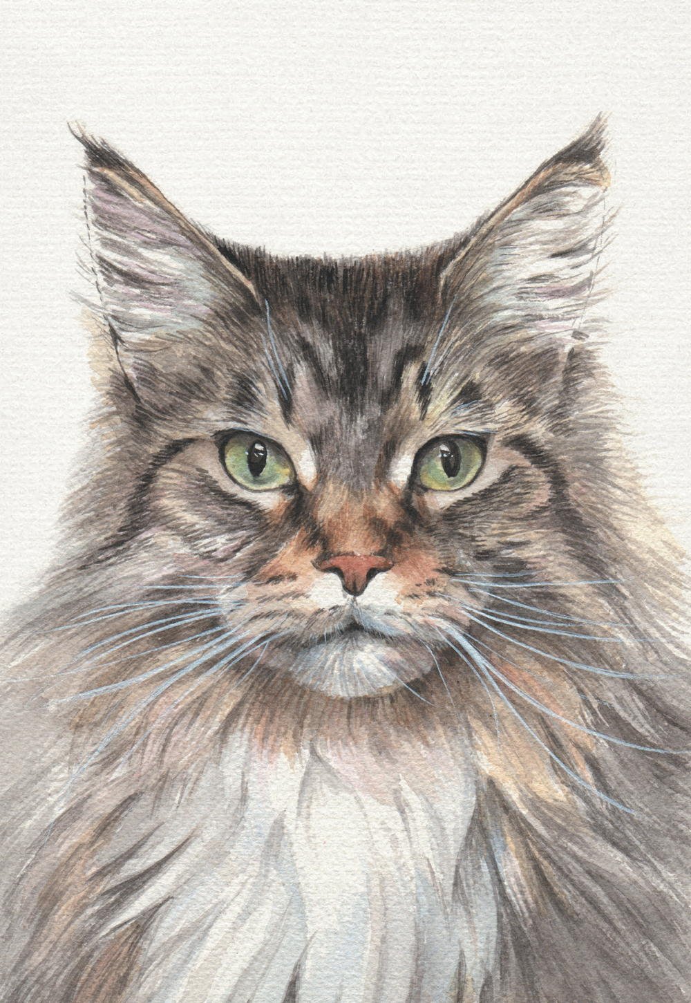Animal Box: 100 Postcards by 10 Artists