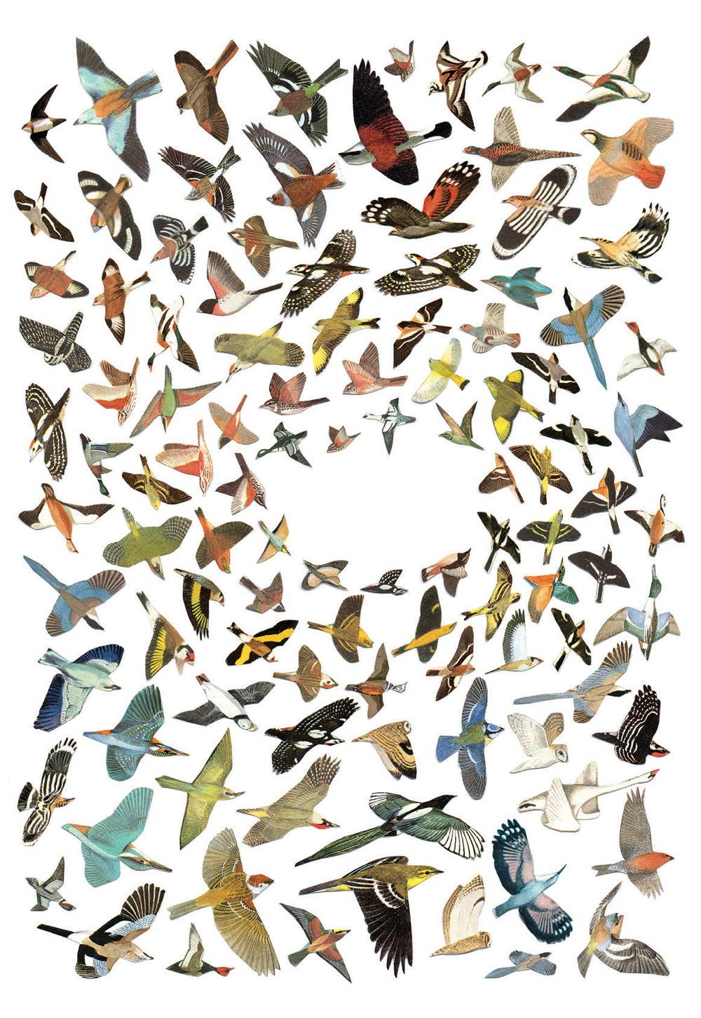 Animal Box: 100 Postcards by 10 Artists