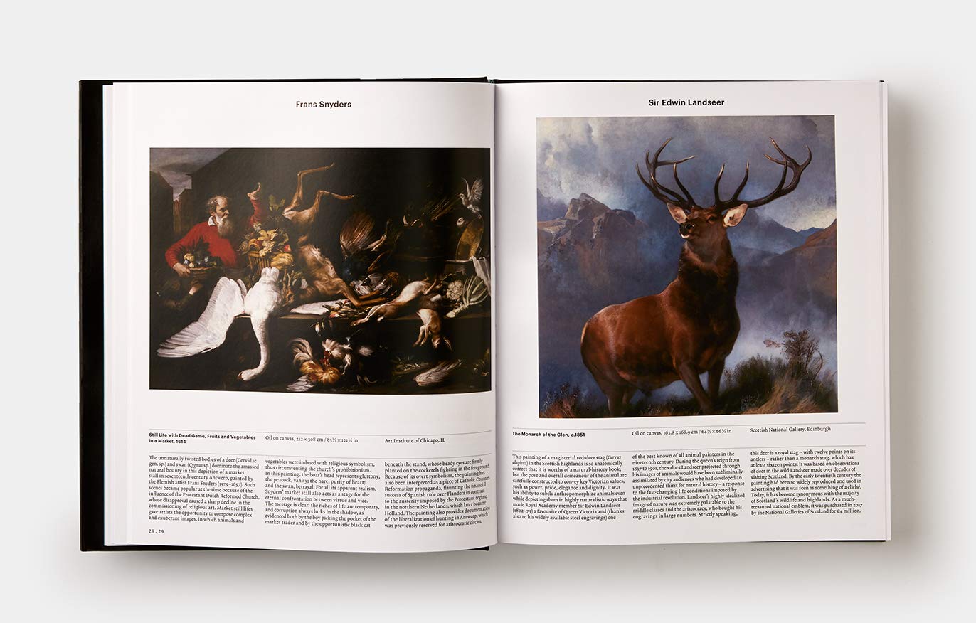 Animal: Exploring the Zoological World