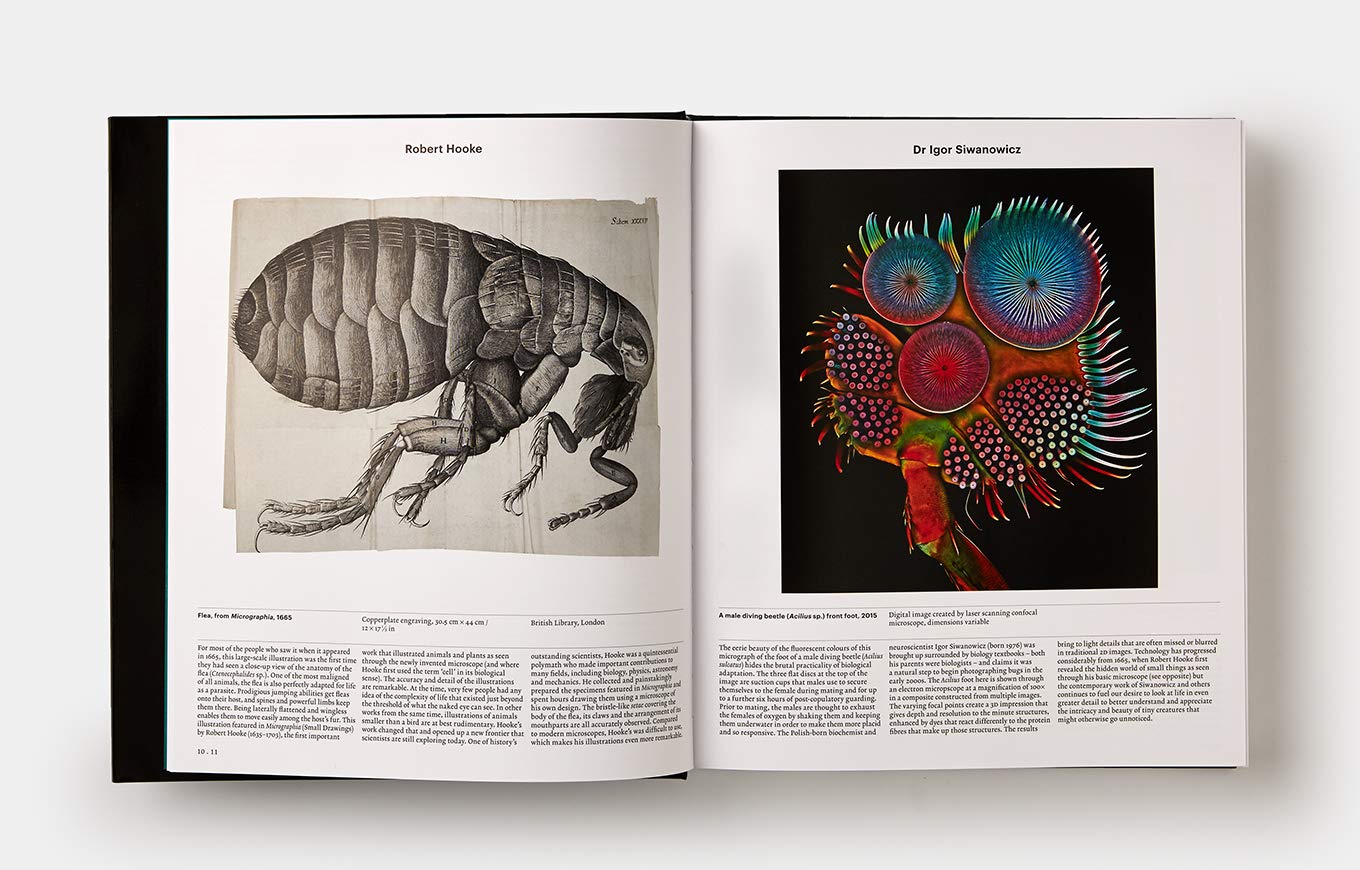 Animal: Exploring the Zoological World