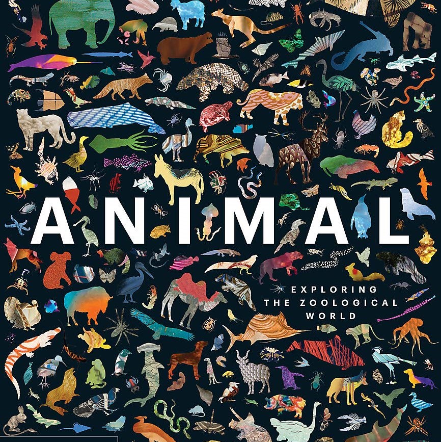 Animal: Exploring the Zoological World
