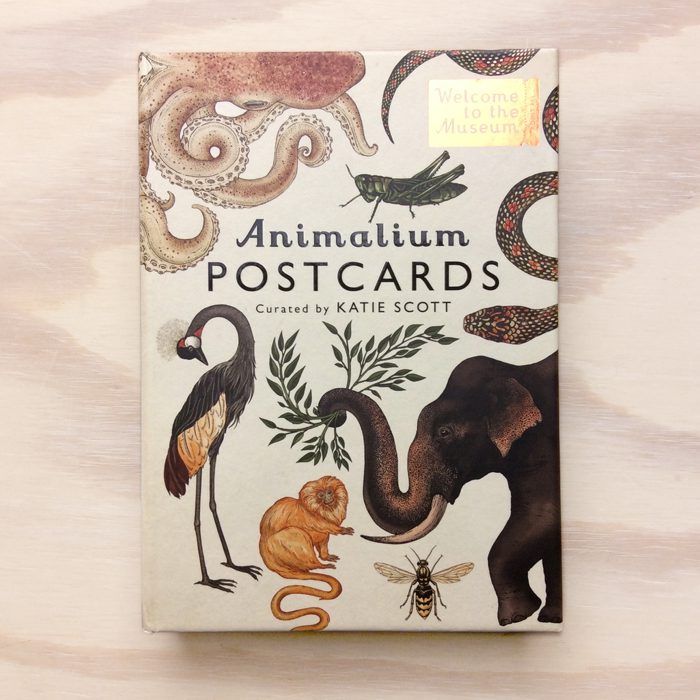 Animalium Postcards Welcome To The Museum