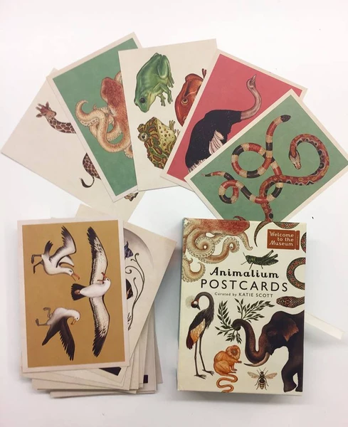 Animalium Postcards Welcome To The Museum
