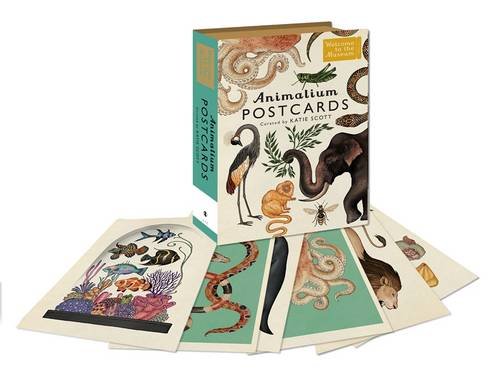 Animalium Postcards Welcome To The Museum