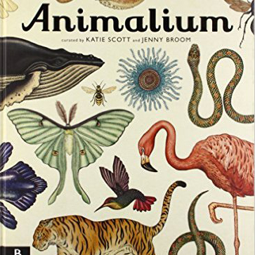 Animalium: Welcome to the Museum