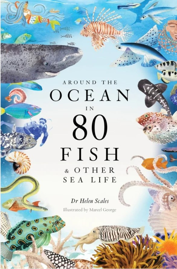 Around the Ocean in 80 Fish and other Sea Life