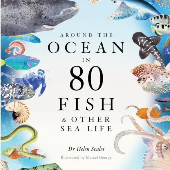 Around the Ocean in 80 Fish and other Sea Life