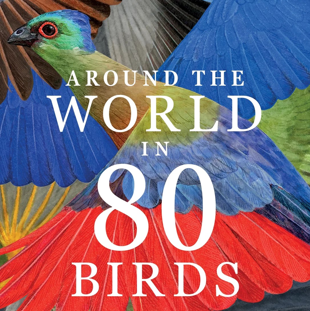 Around the World in 80 Birds
