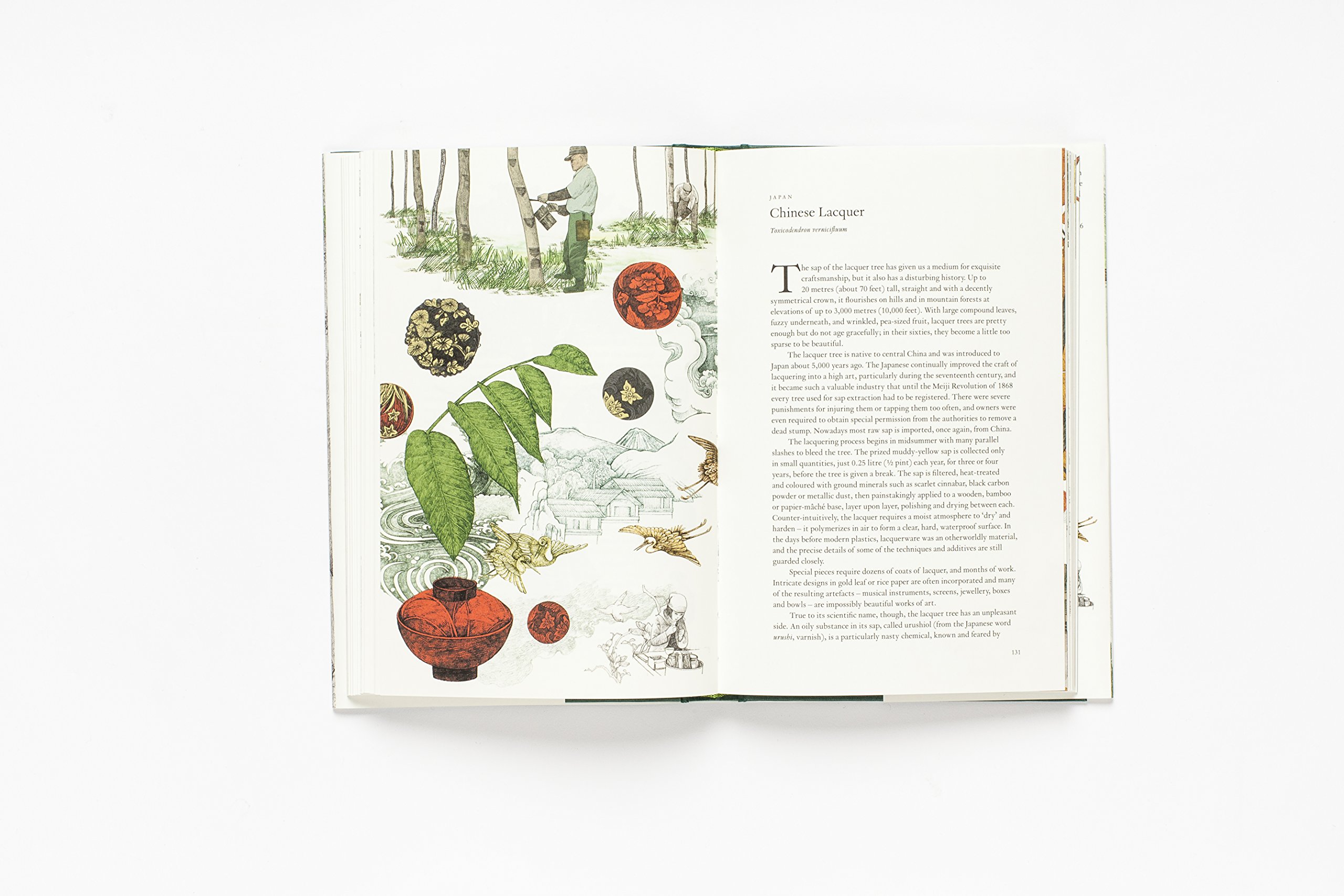 Around the World in 80 Trees