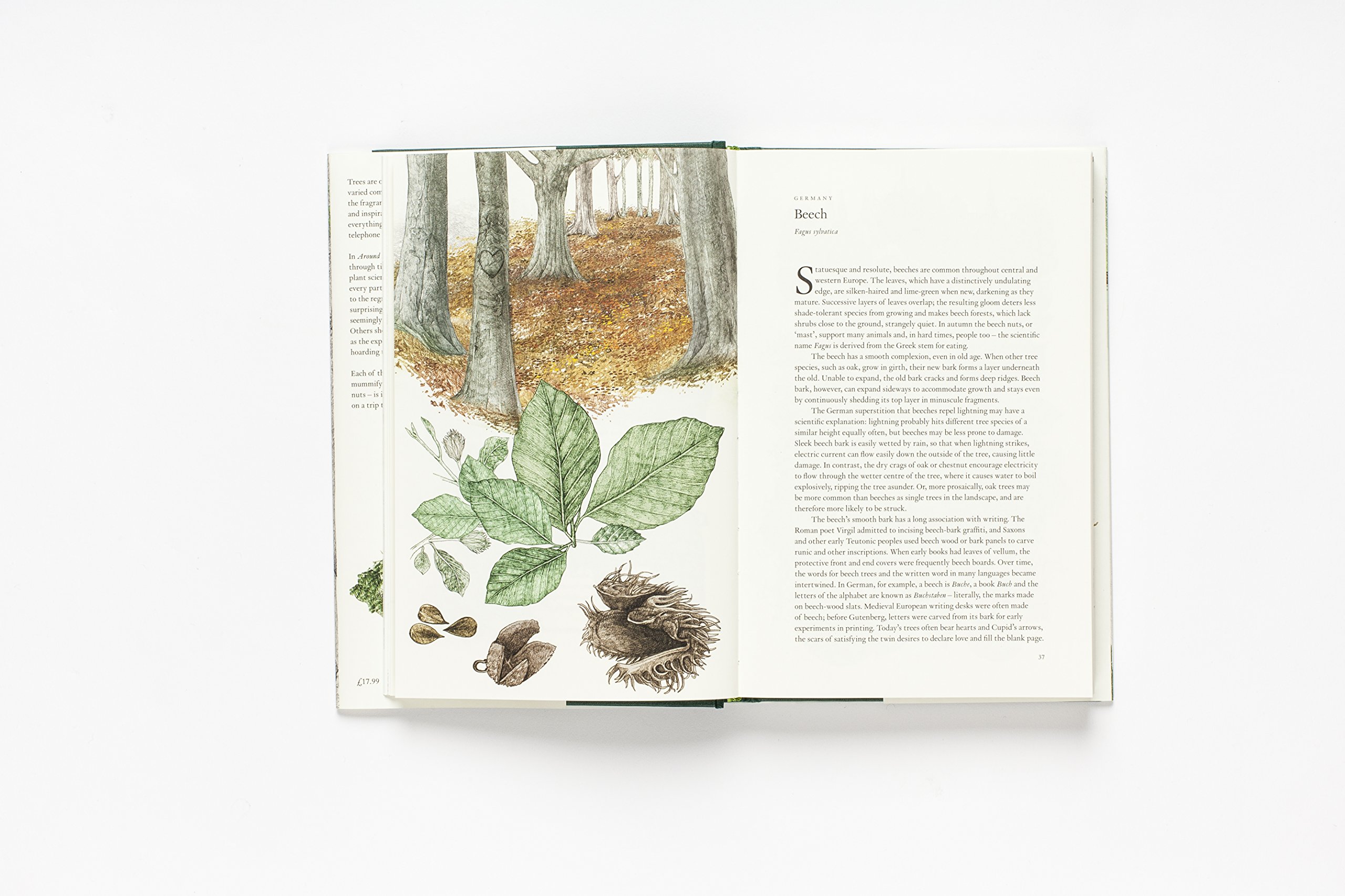 Around the World in 80 Trees