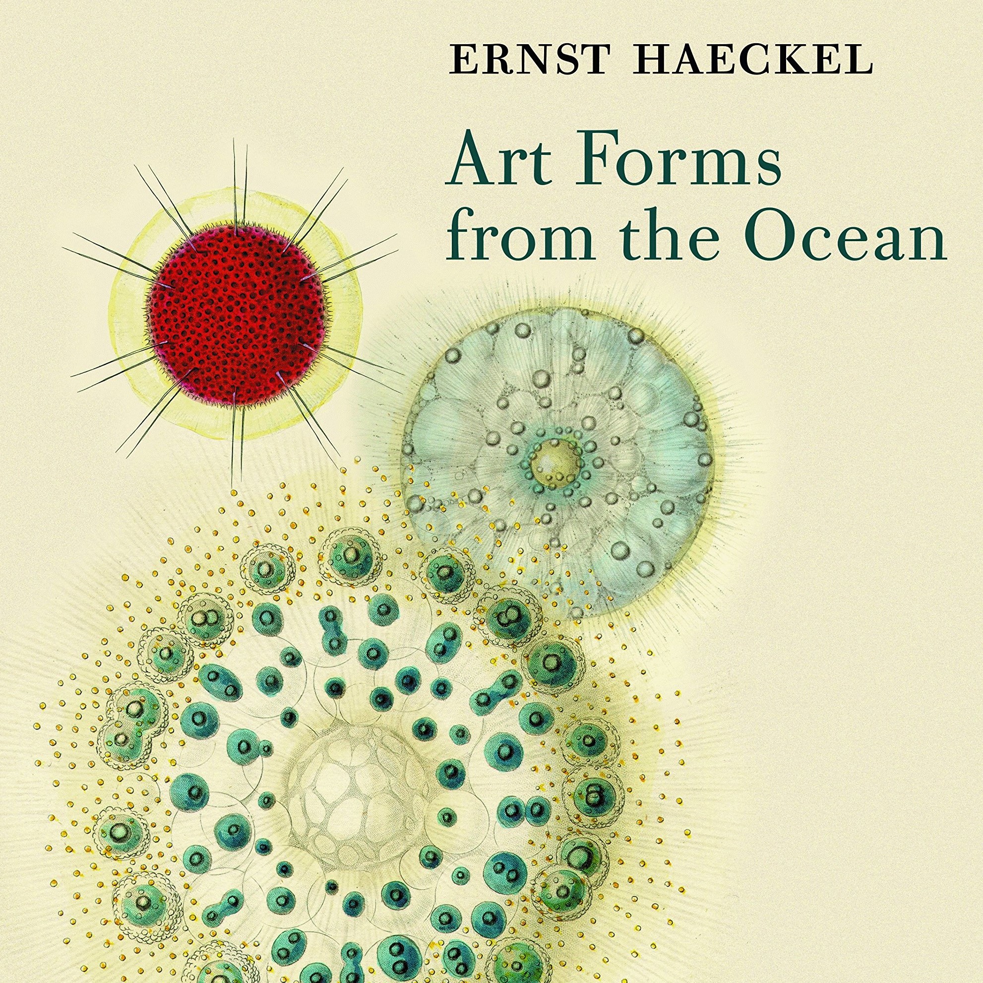 Art Forms from the Ocean