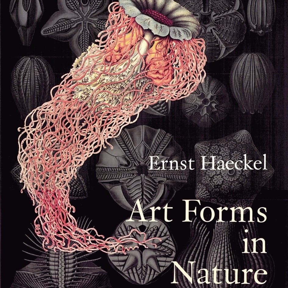 Art Forms in Nature: The Prints of Ernst Haeckel