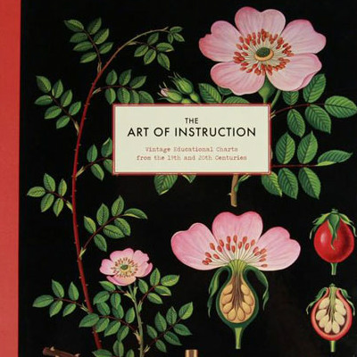 Art of Instruction