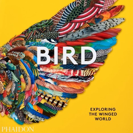 Bird: Exploring the Winged World