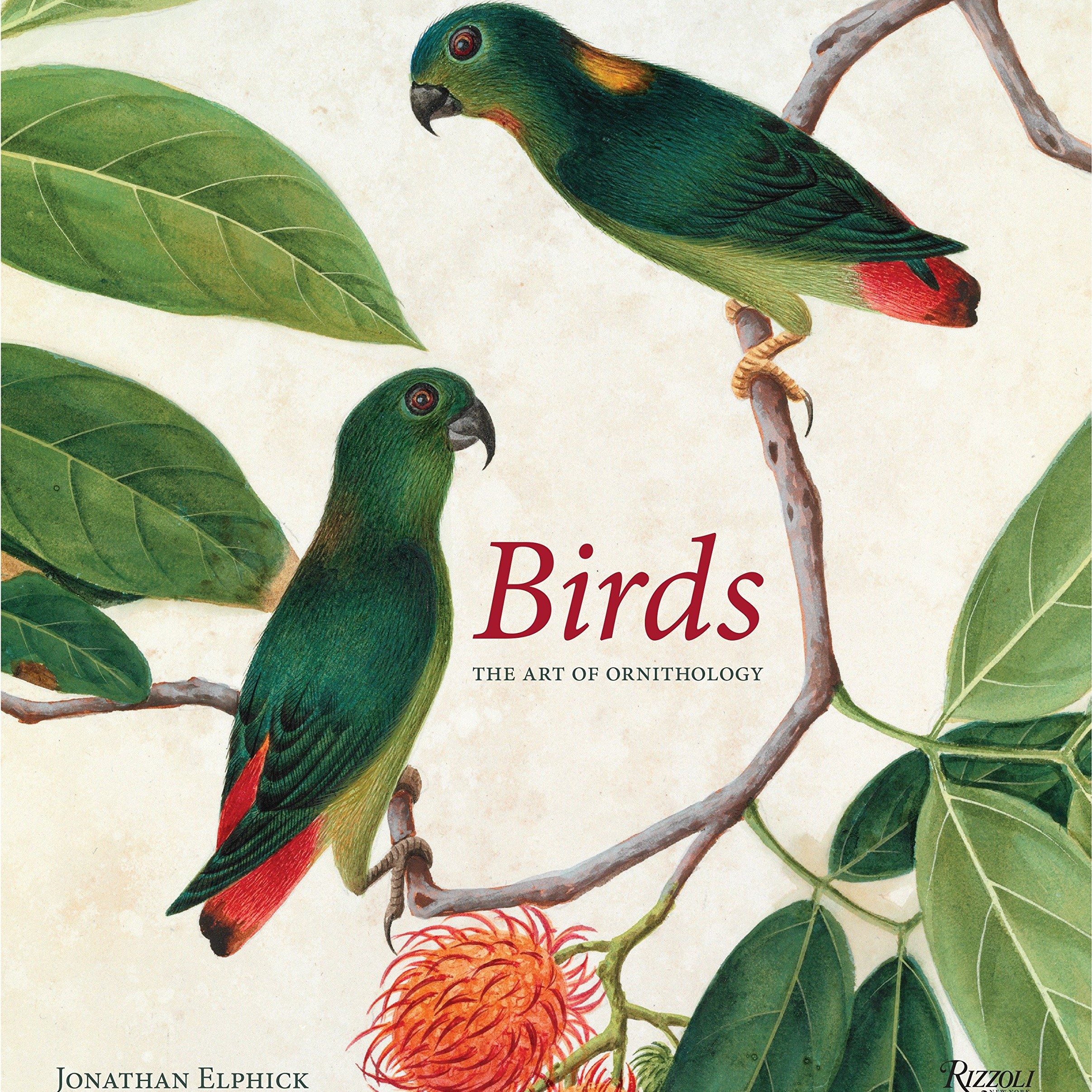 Birds - The Art of Ornithology