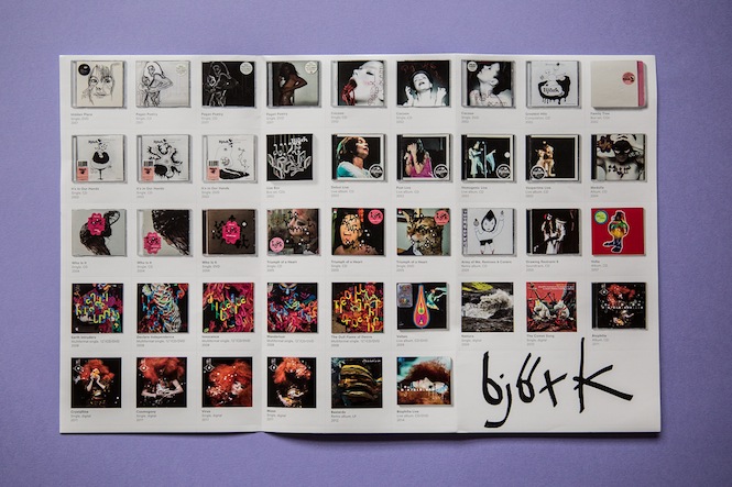 Bjork Archives