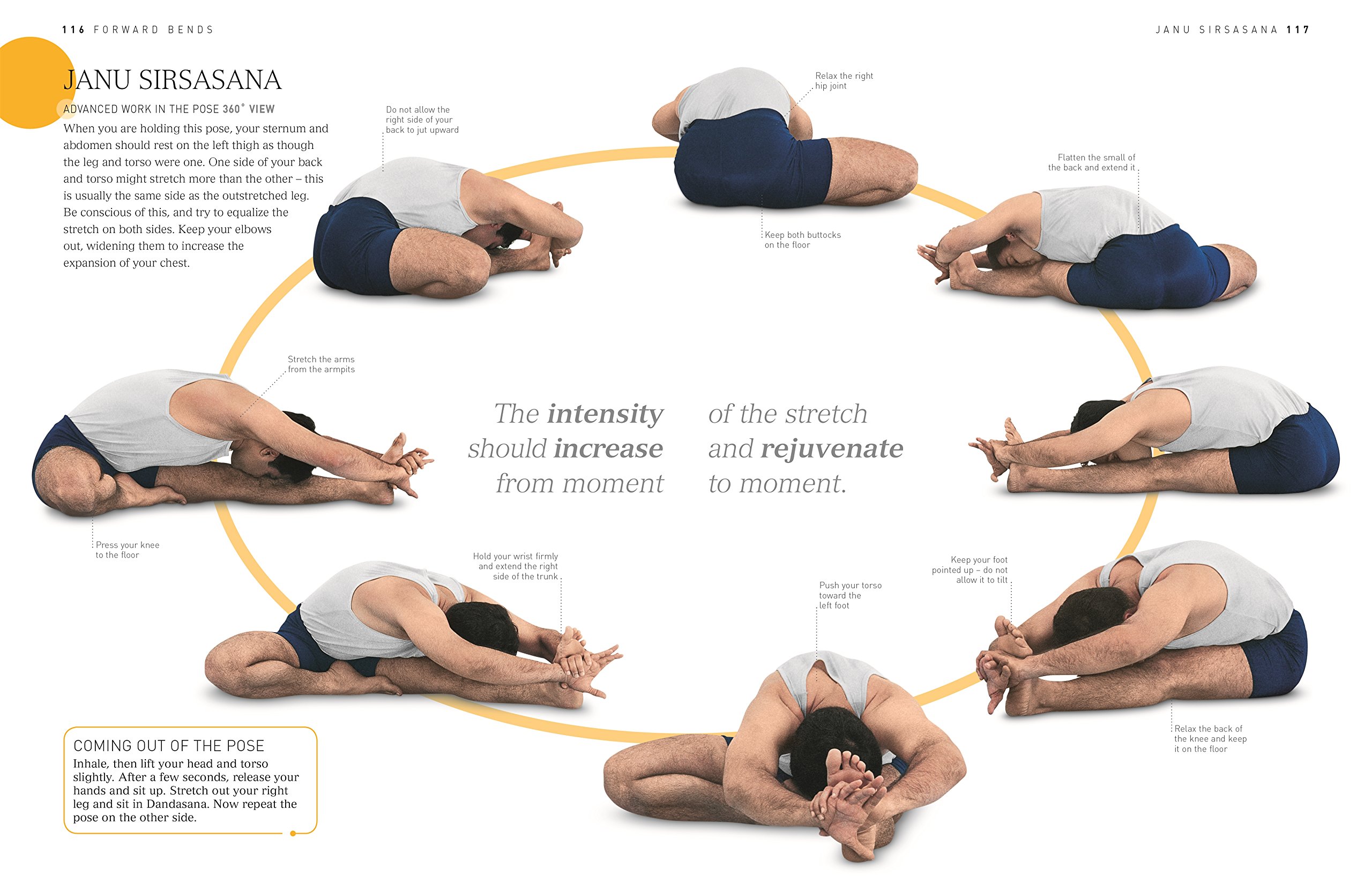 B.K.S Iyengar Yoga: The Path to Holistic Health