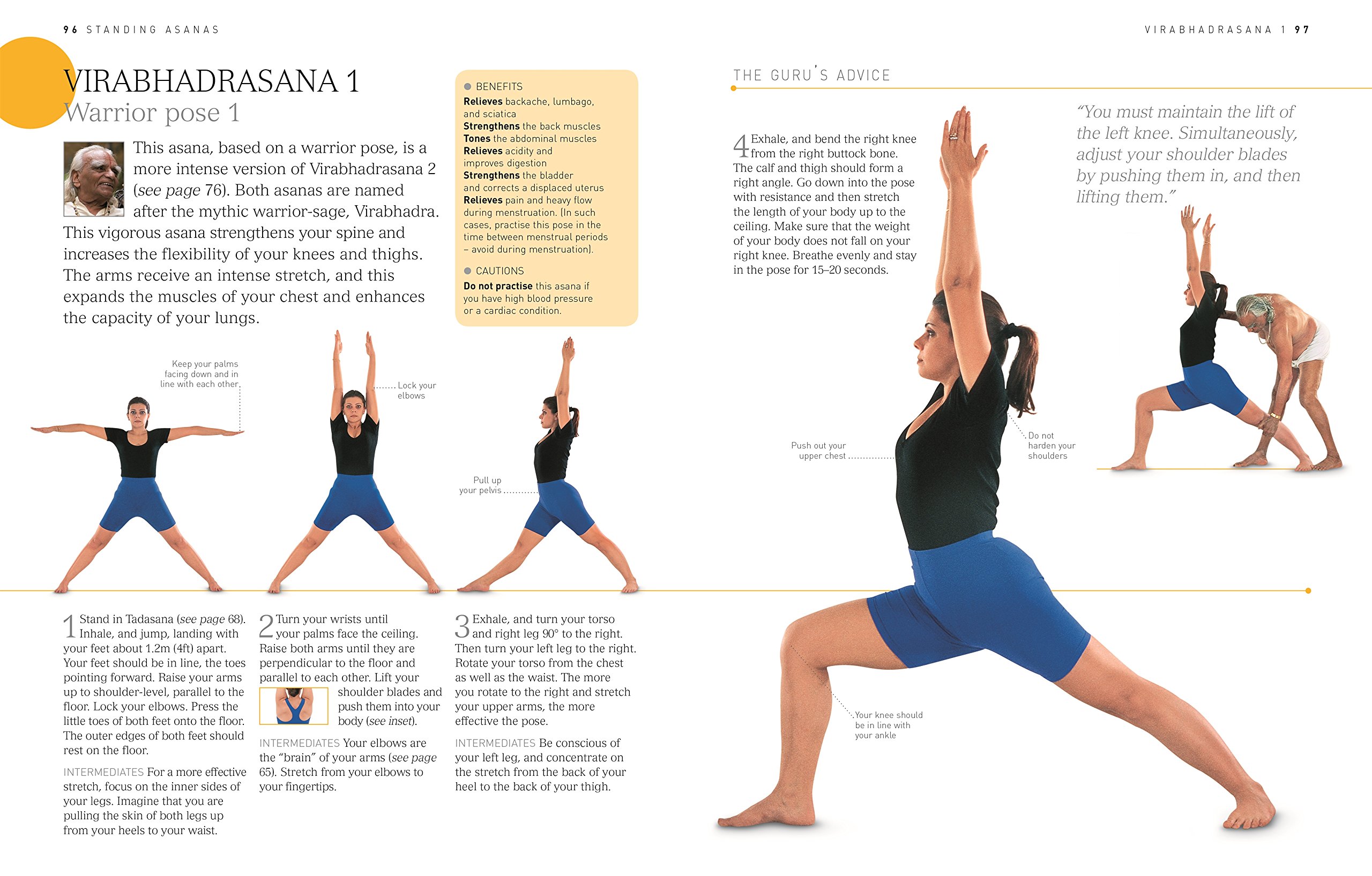 B.K.S Iyengar Yoga: The Path to Holistic Health