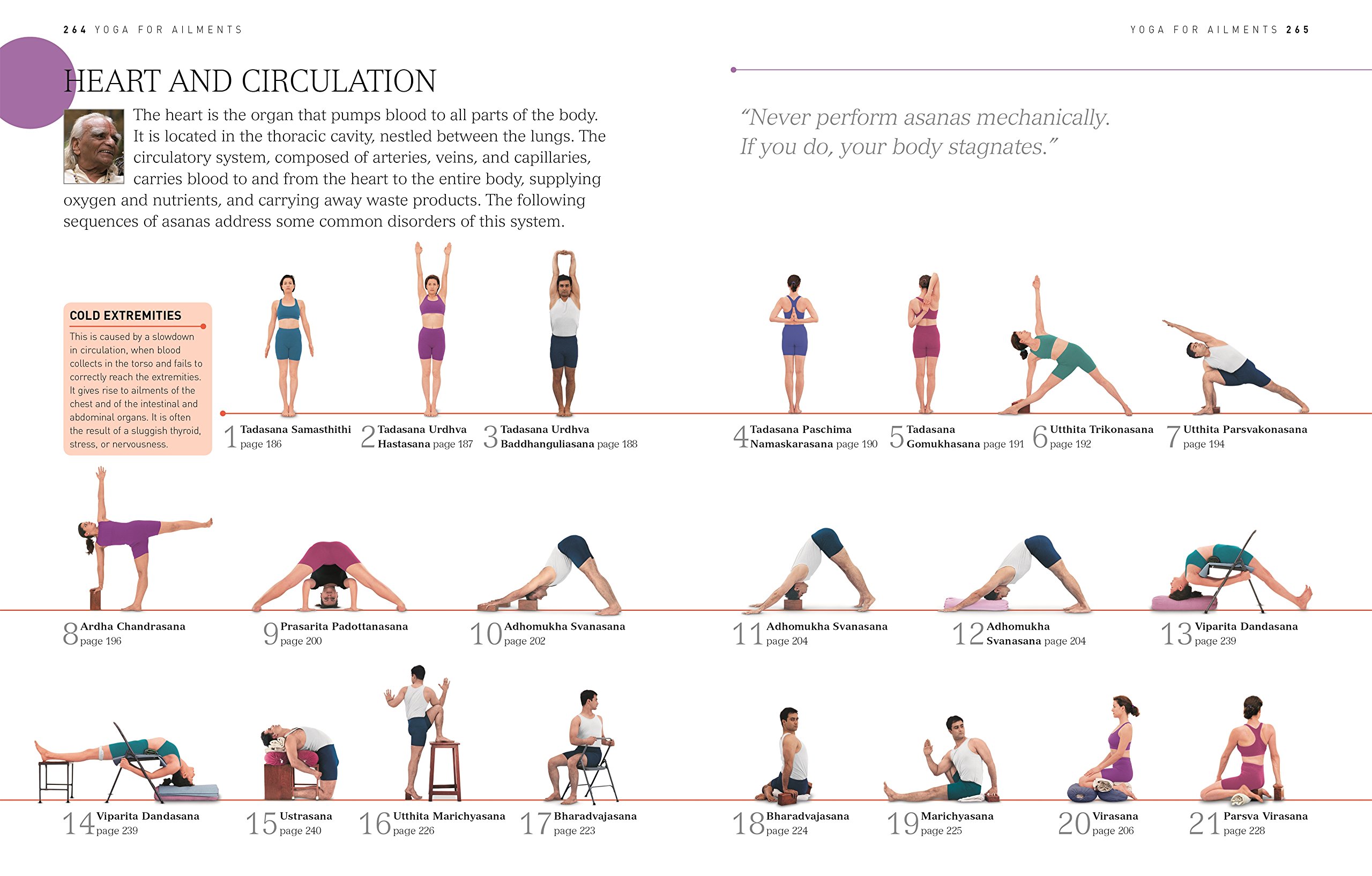 B.K.S Iyengar Yoga: The Path to Holistic Health