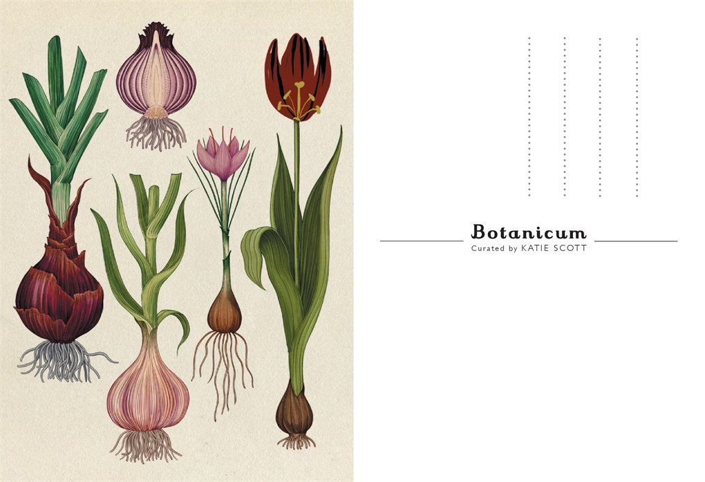 Botanicum Postcards Welcome to the Museum
