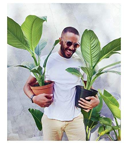Boys with Plants: 50 Boys and the Plants They Love