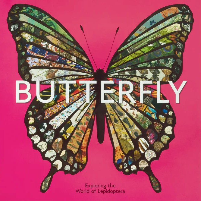 Butterfly: Exploring the World of Lepidoptera
