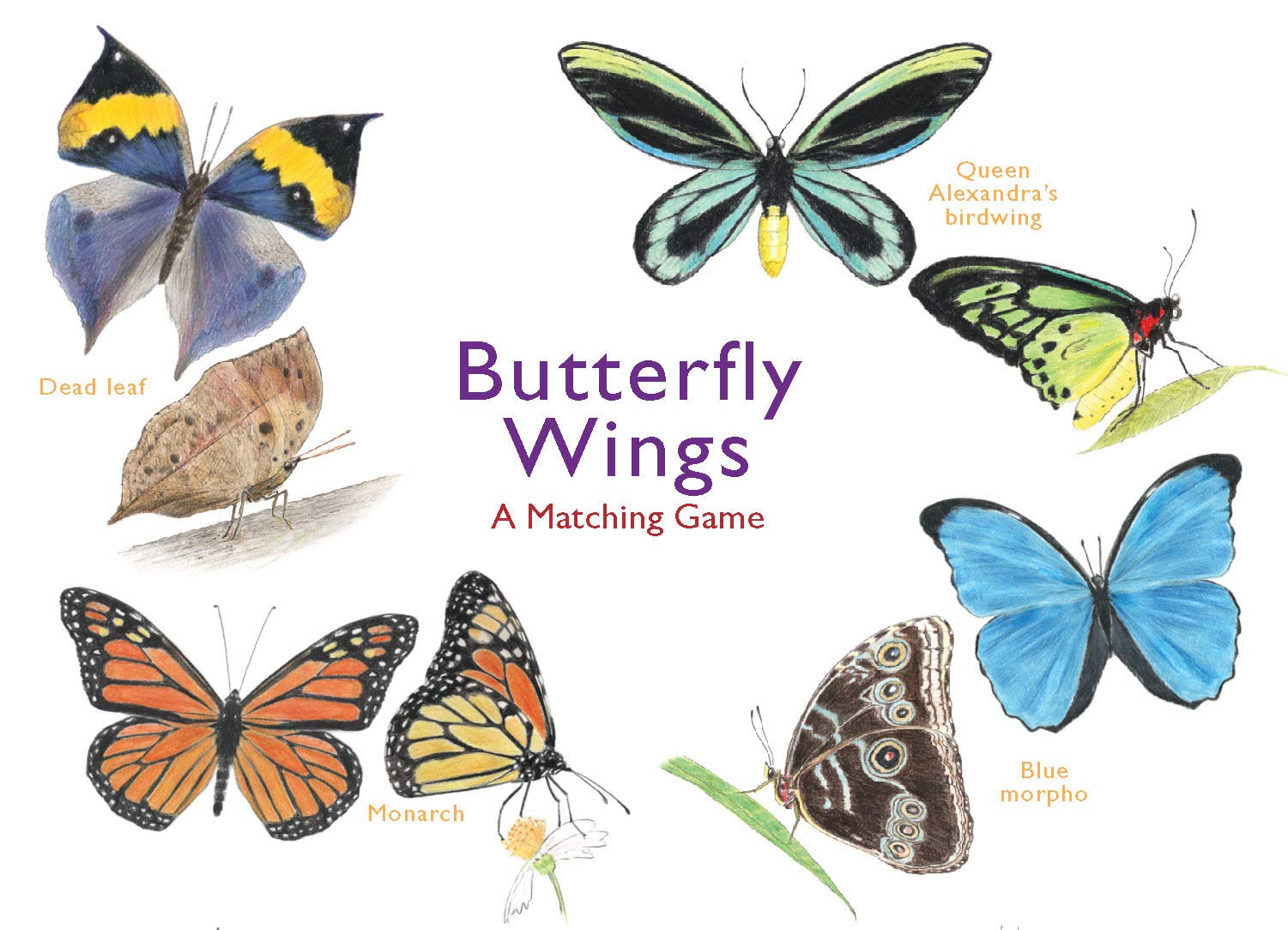 Butterfly Wings A Matching Game משחק קלפים