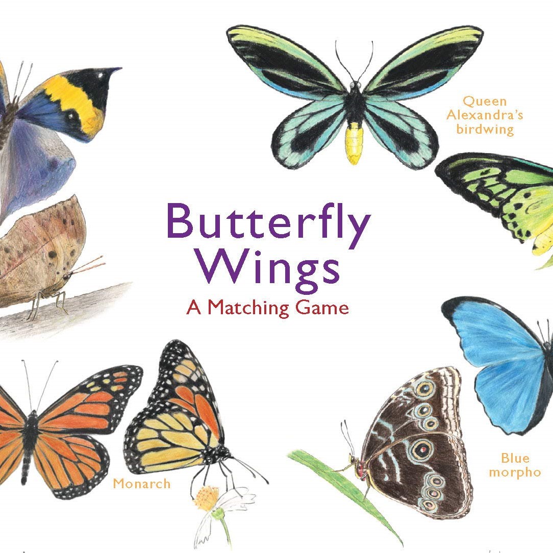 Butterfly Wings A Matching Game משחק קלפים