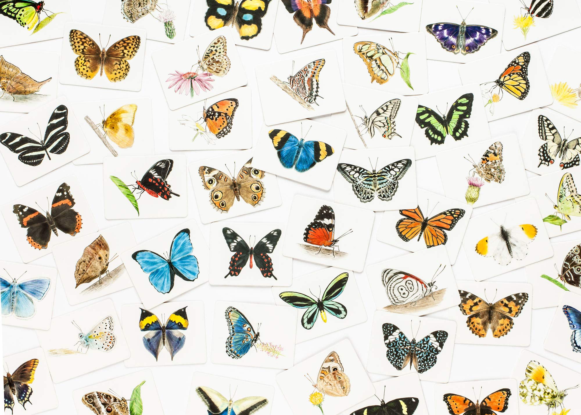 Butterfly Wings A Matching Game משחק קלפים