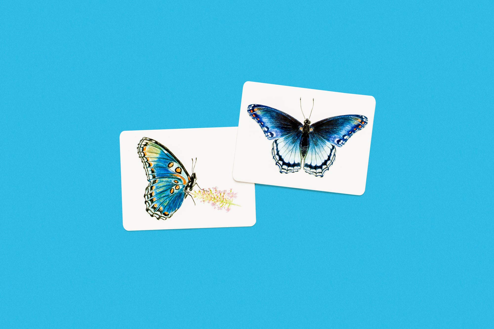 Butterfly Wings A Matching Game משחק קלפים