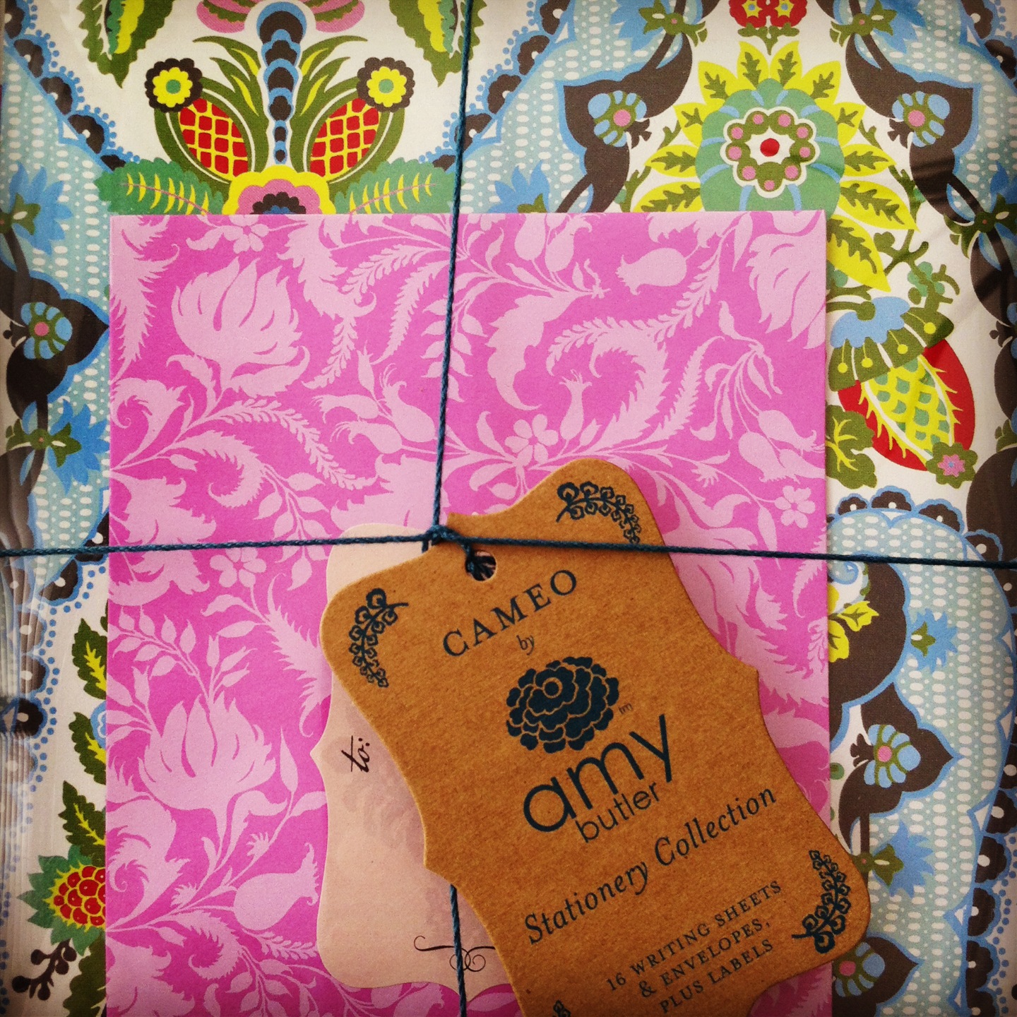 Cameo Amy Butler Stationary Collection