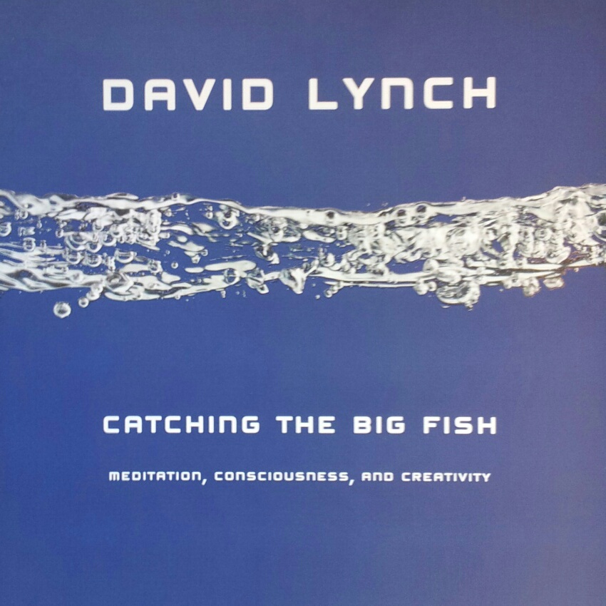 Catching the Big Fish by David Lynch