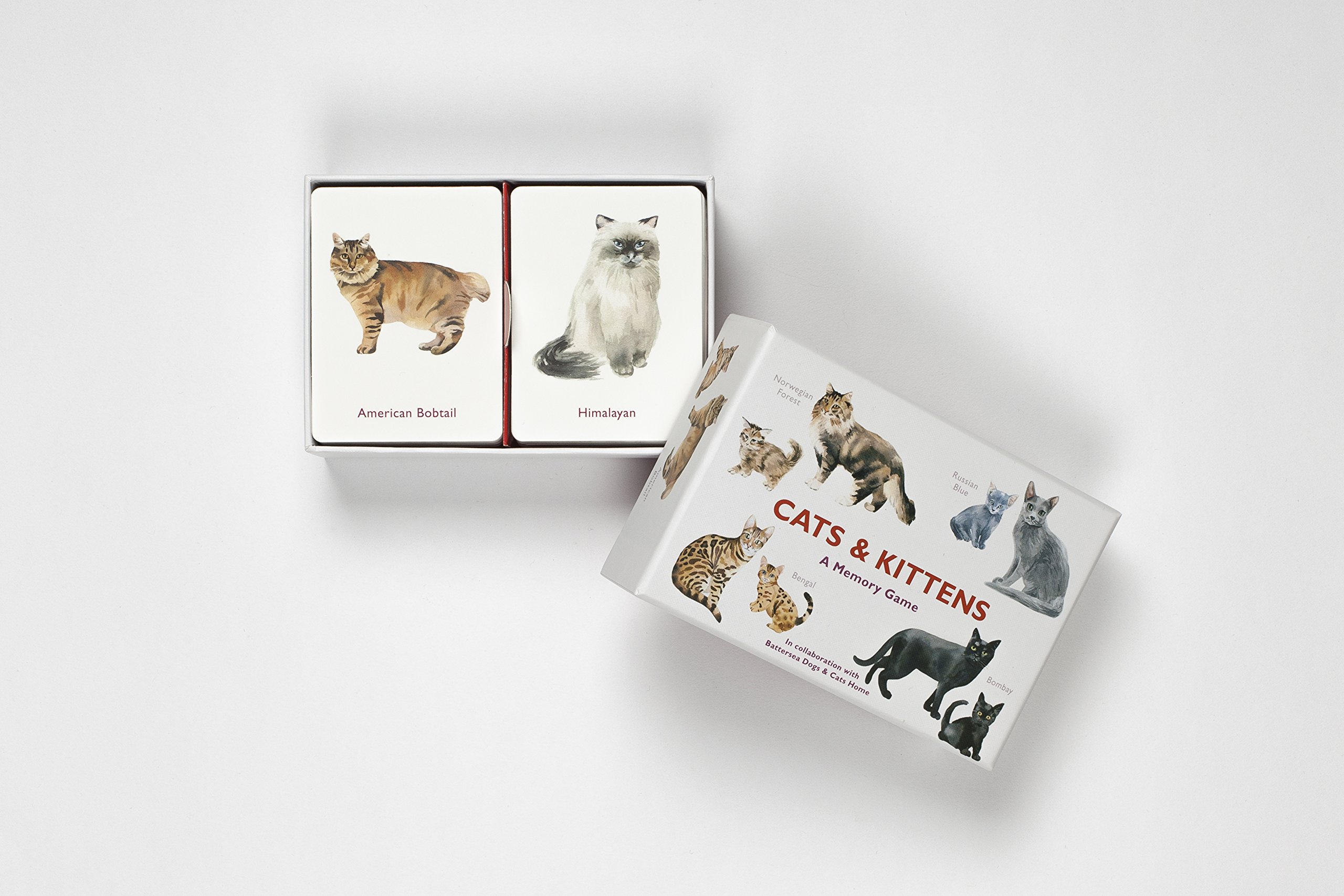 Cats & Kittens A Memory Game