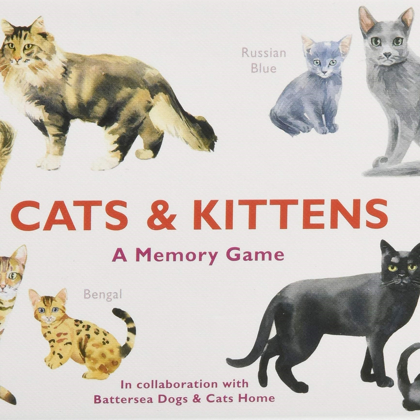 Cats & Kittens A Memory Game