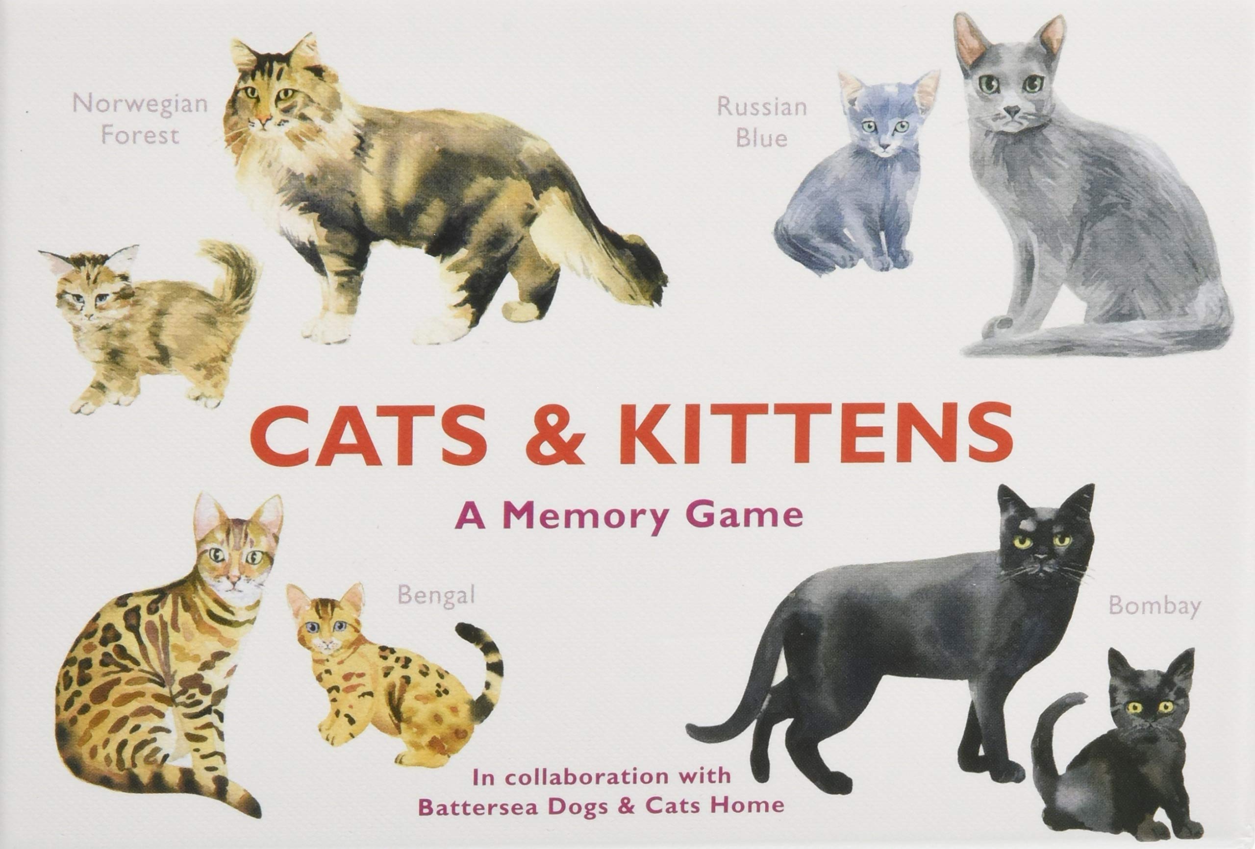 Cats & Kittens A Memory Game