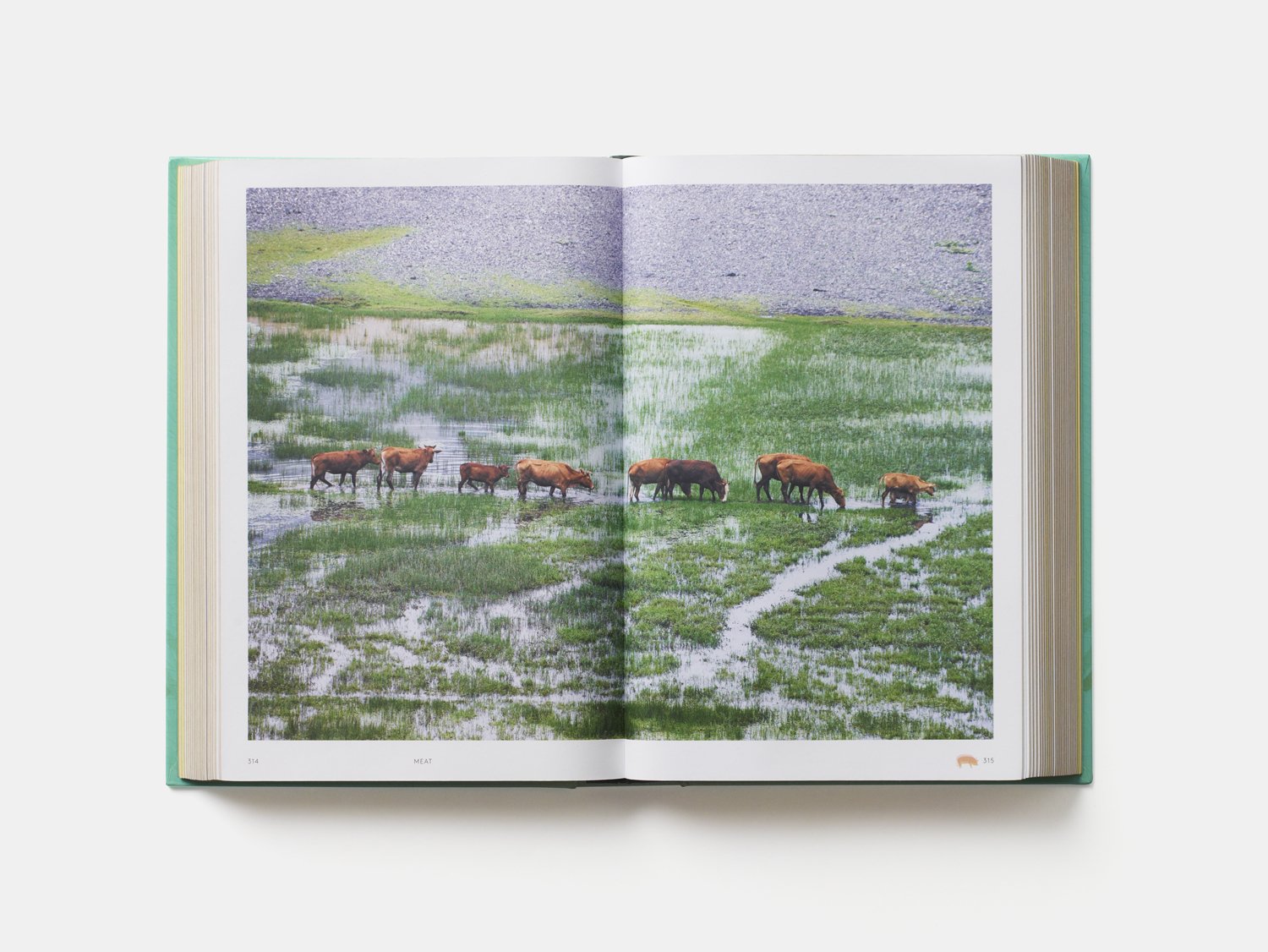 China: The Cookbook