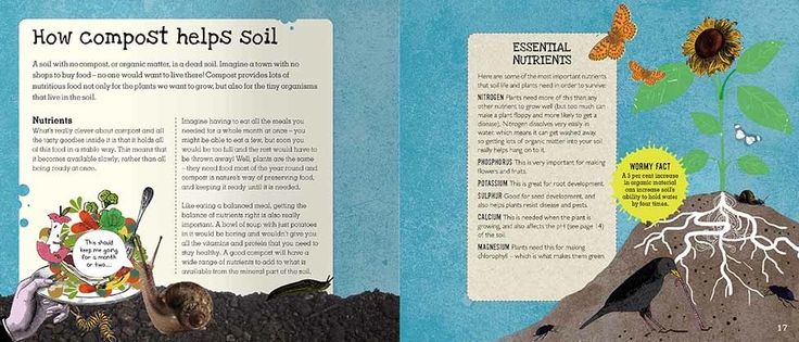 Compost: A Family Guide to Making Soil from Scraps