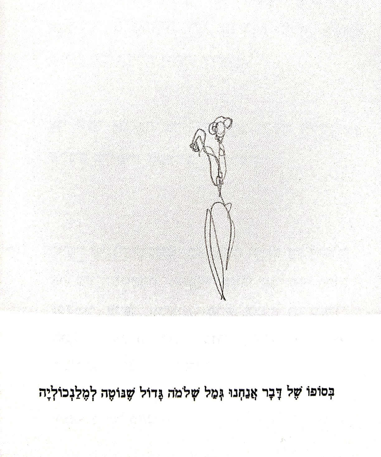 Curriculum Vitae (קוריקולום ויטה)