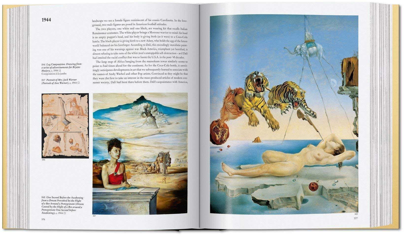 Dalí - The Paintings
