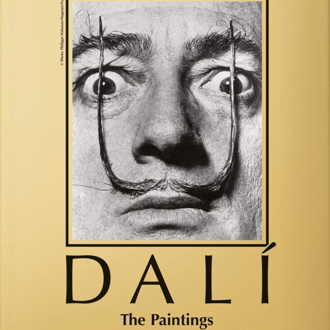 Dalí - The Paintings