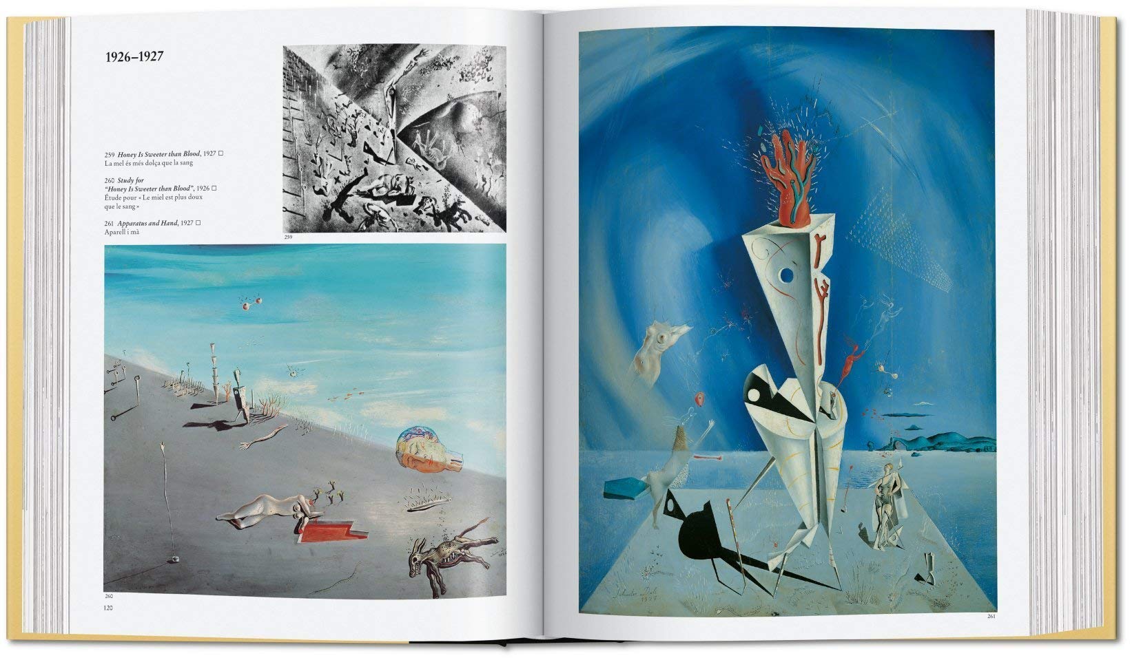 Dalí - The Paintings
