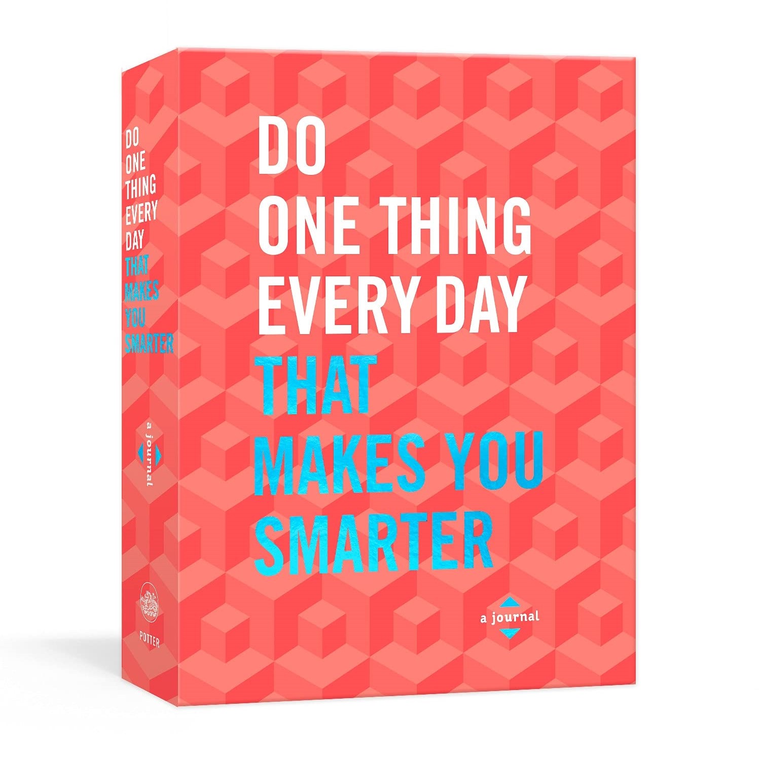 Do One Thing Every Day That Makes You Smarter