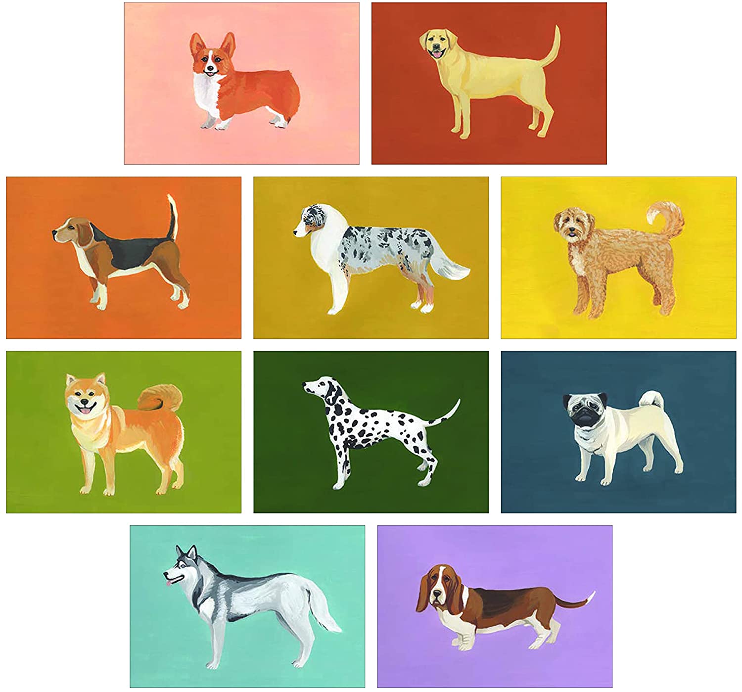Dog Box: 100 Postcards by 10 Artists