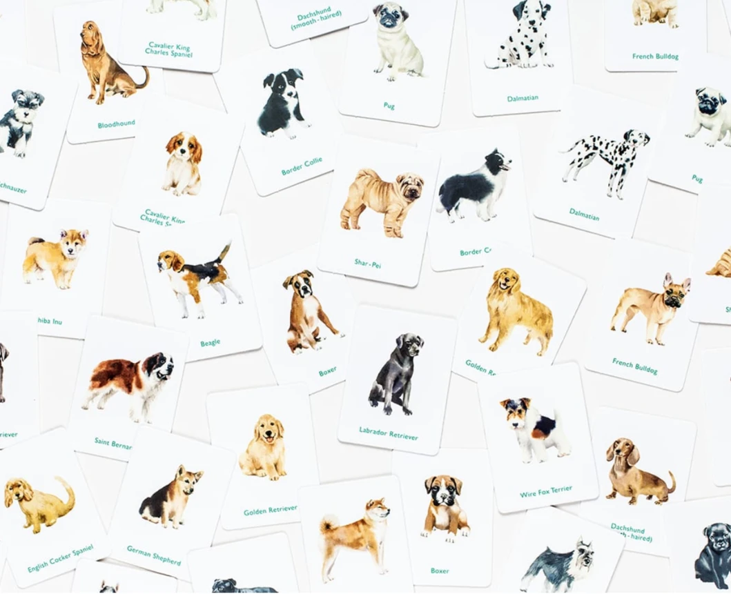 Dogs & Puppies A Memory Game משחק זיכרון
