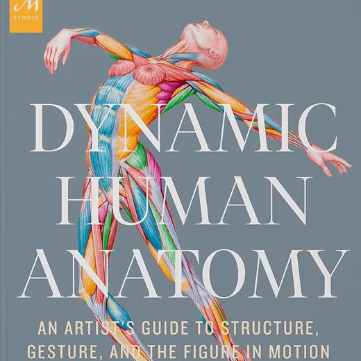 Dynamic Human Anatomy